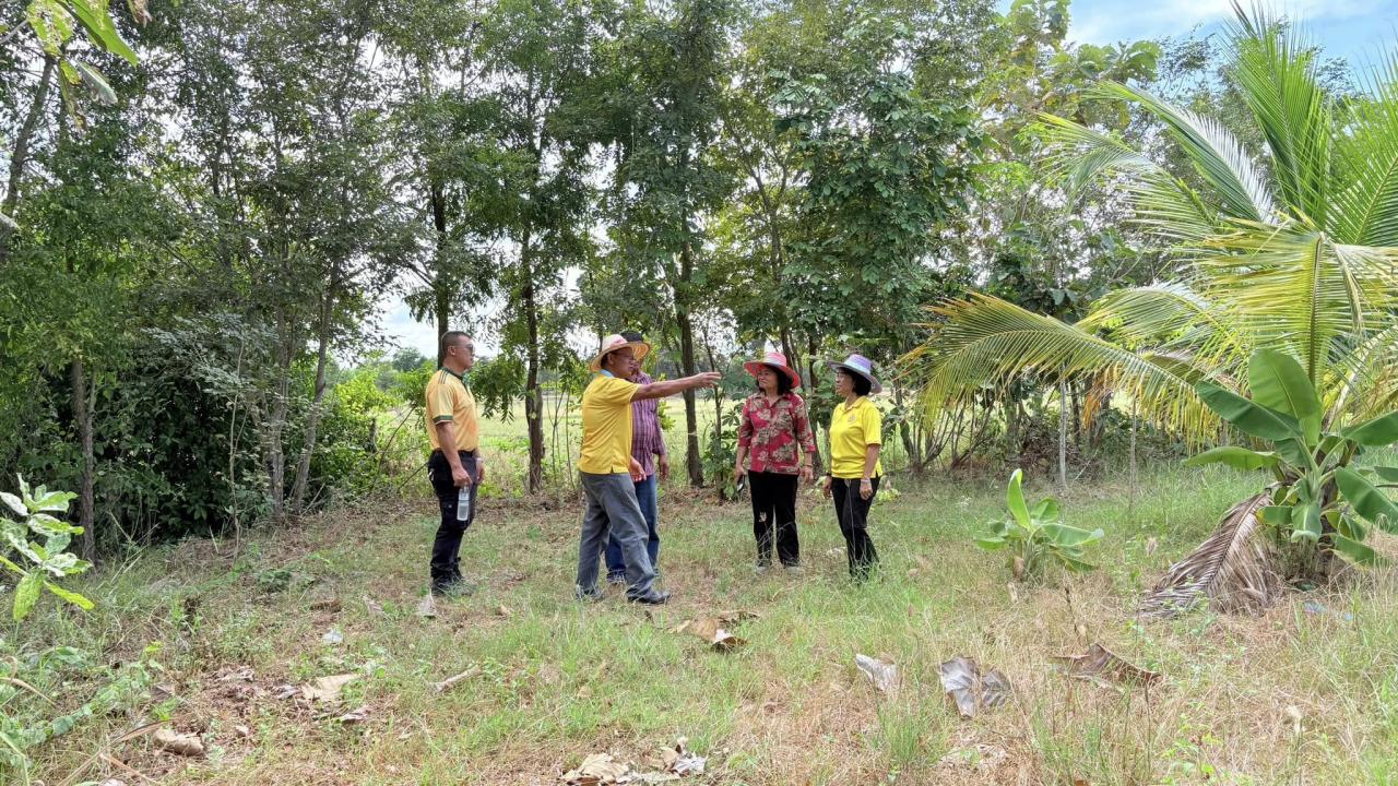 ภาพประกอบที่ 19