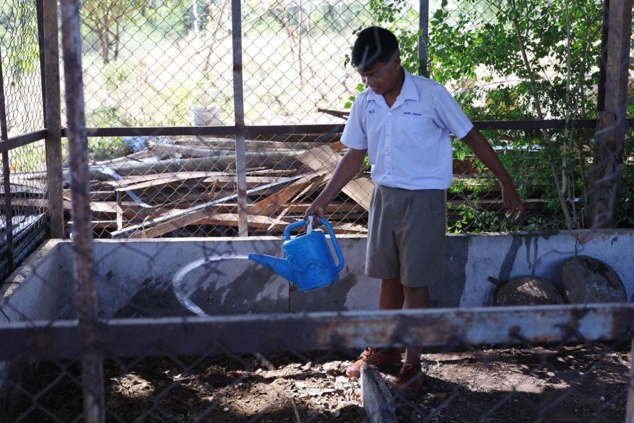 ภาพประกอบที่ 1