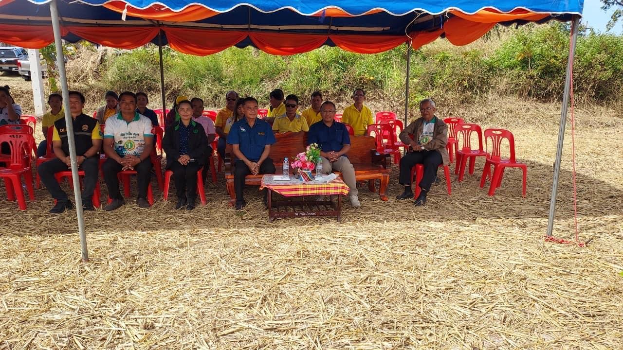 ภาพประกอบที่ 8