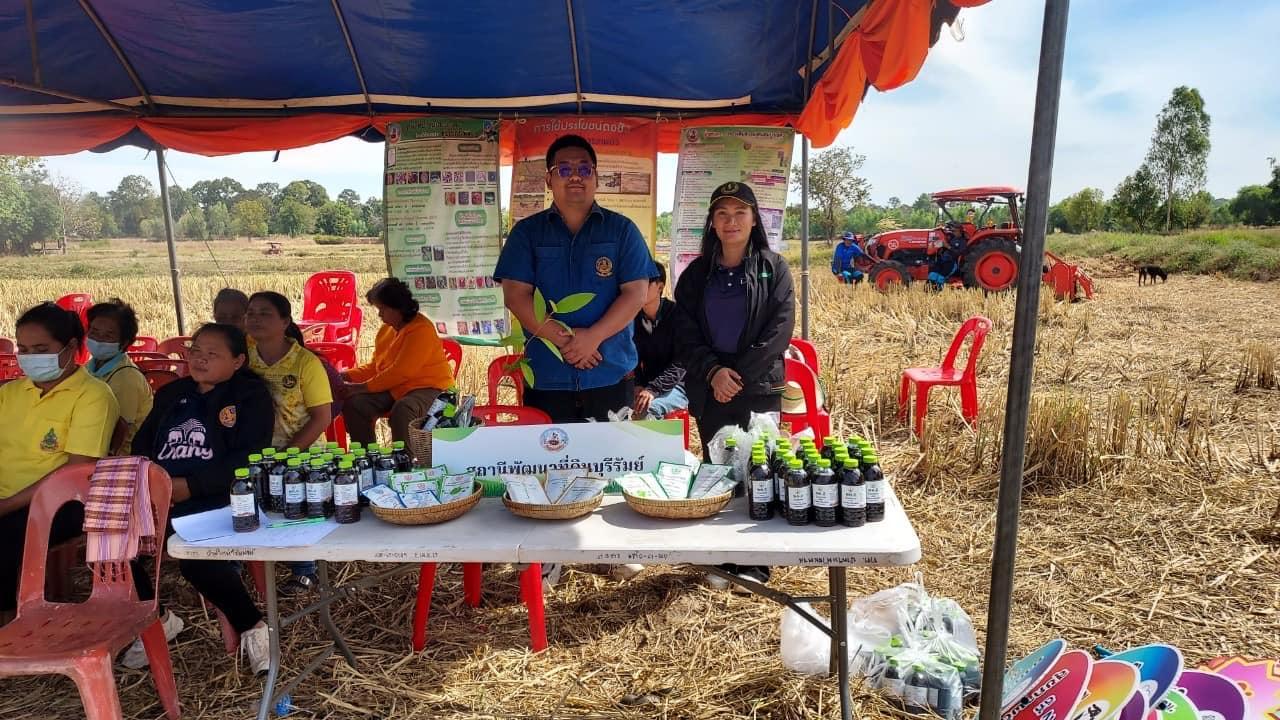 ภาพประกอบที่ 11