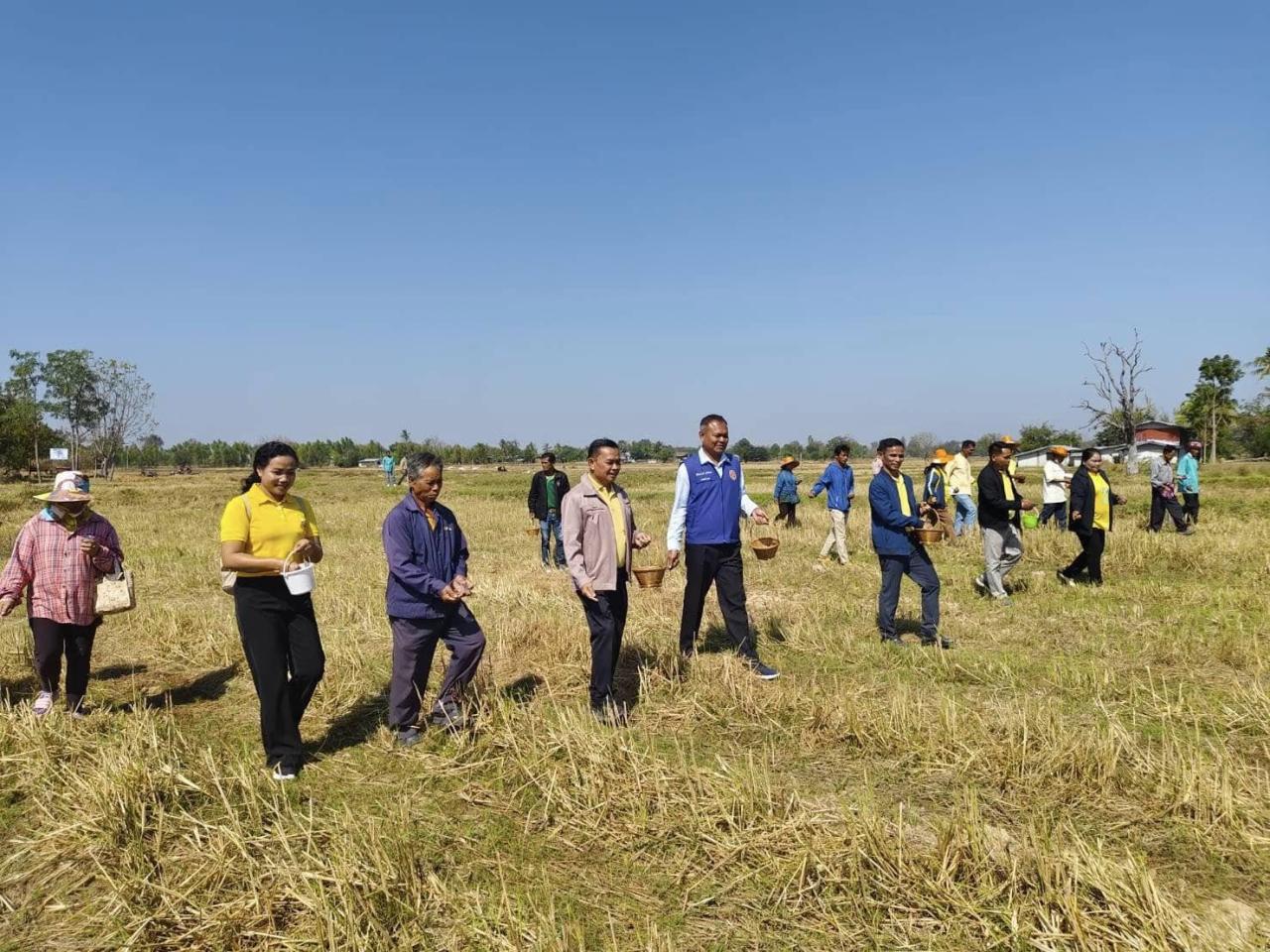 ภาพประกอบที่ 1