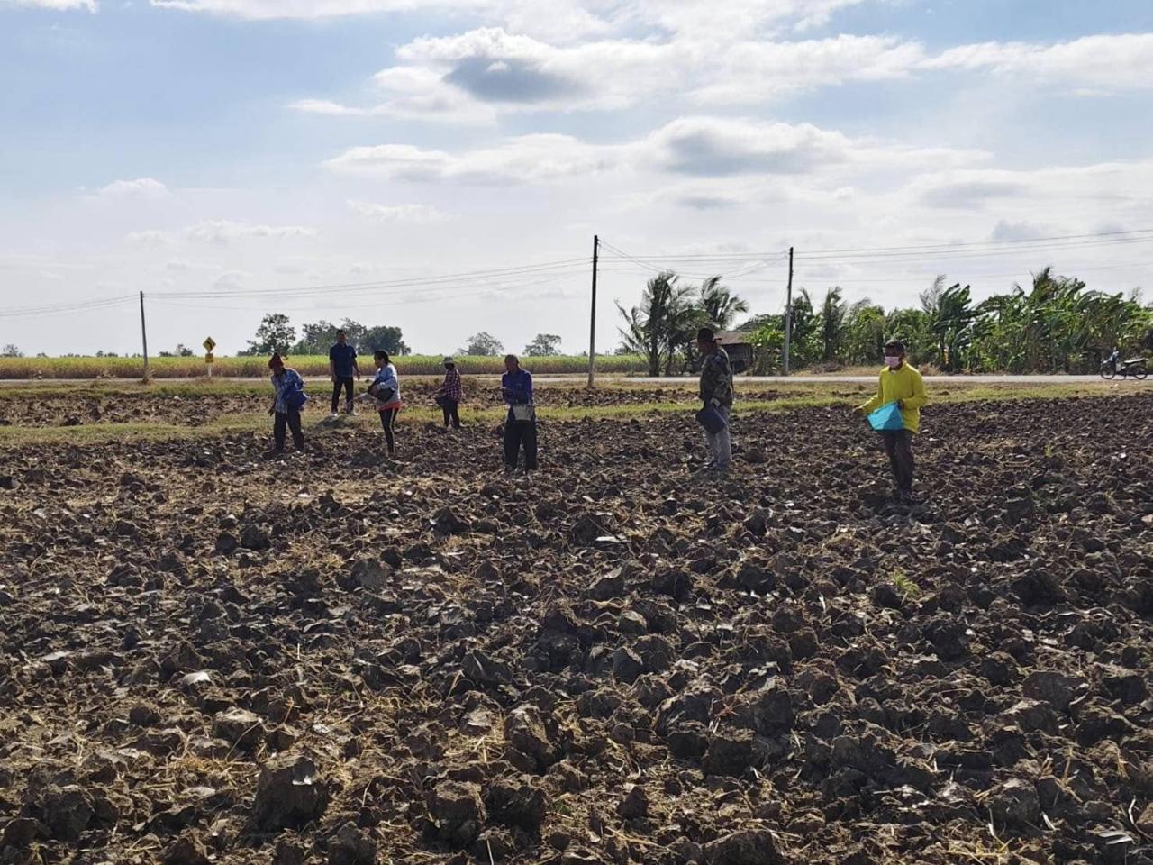 ภาพประกอบที่ 0