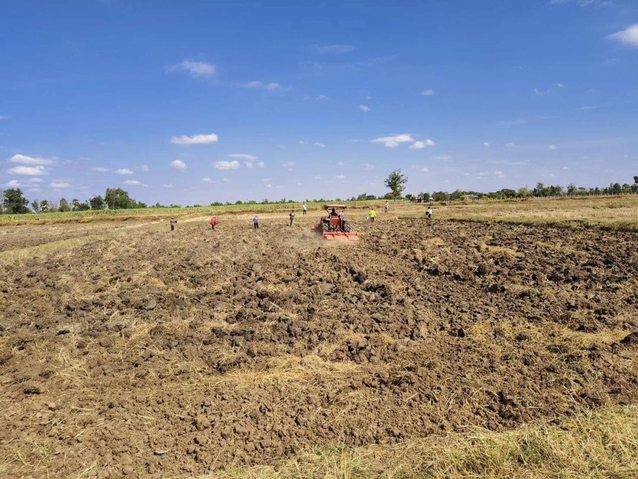 ภาพประกอบที่ 1