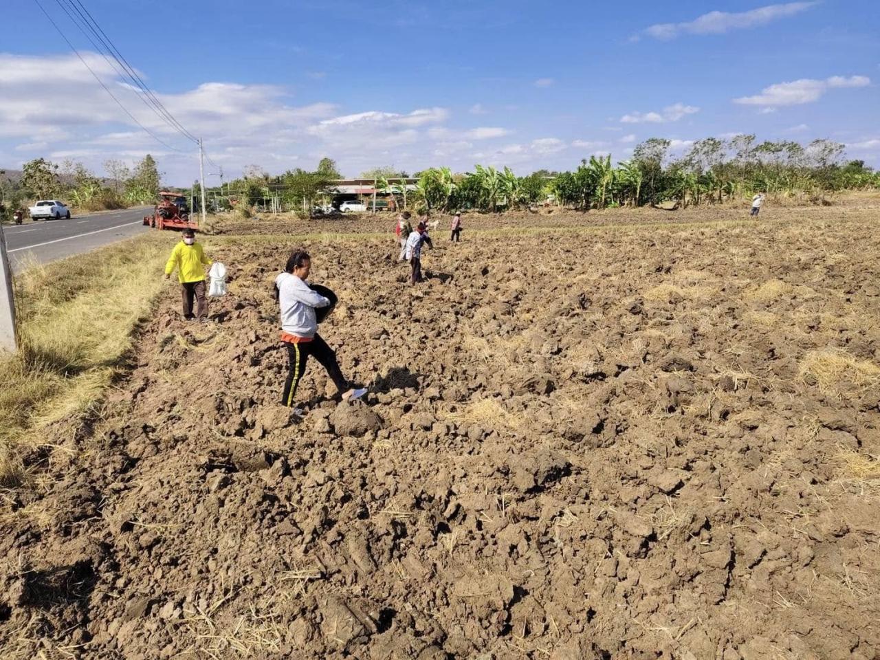 ภาพประกอบที่ 3