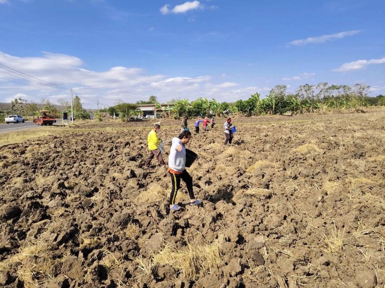 ภาพประกอบที่ 4