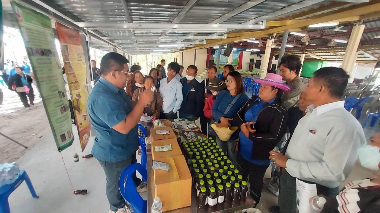 ภาพประกอบที่ 0