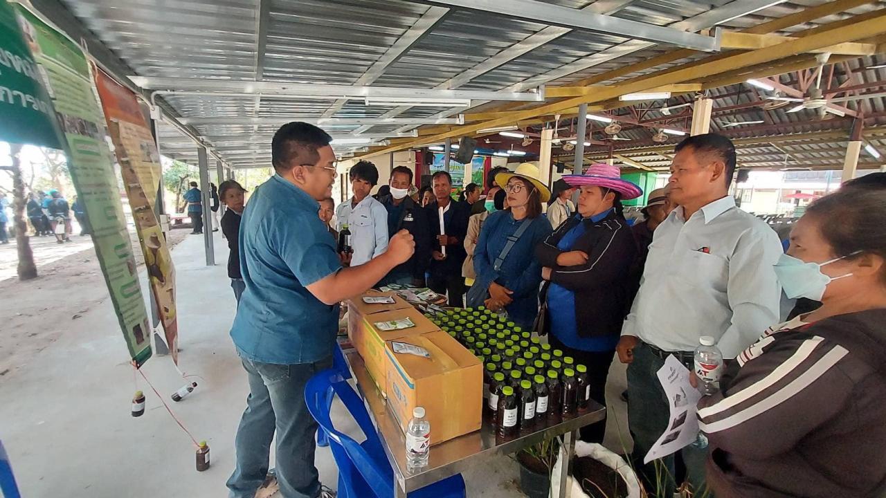 ภาพประกอบที่ 12