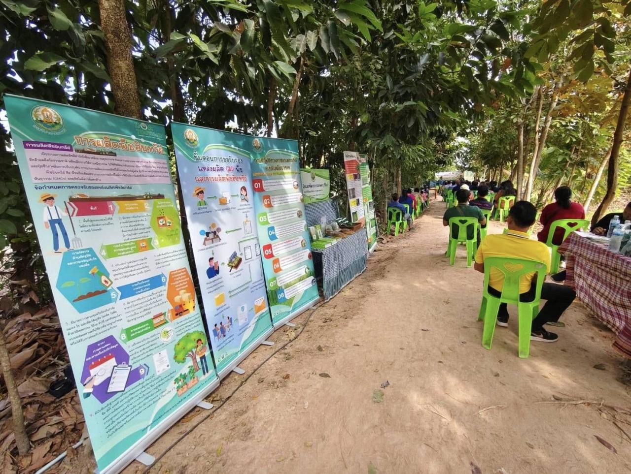 ภาพประกอบที่ 1