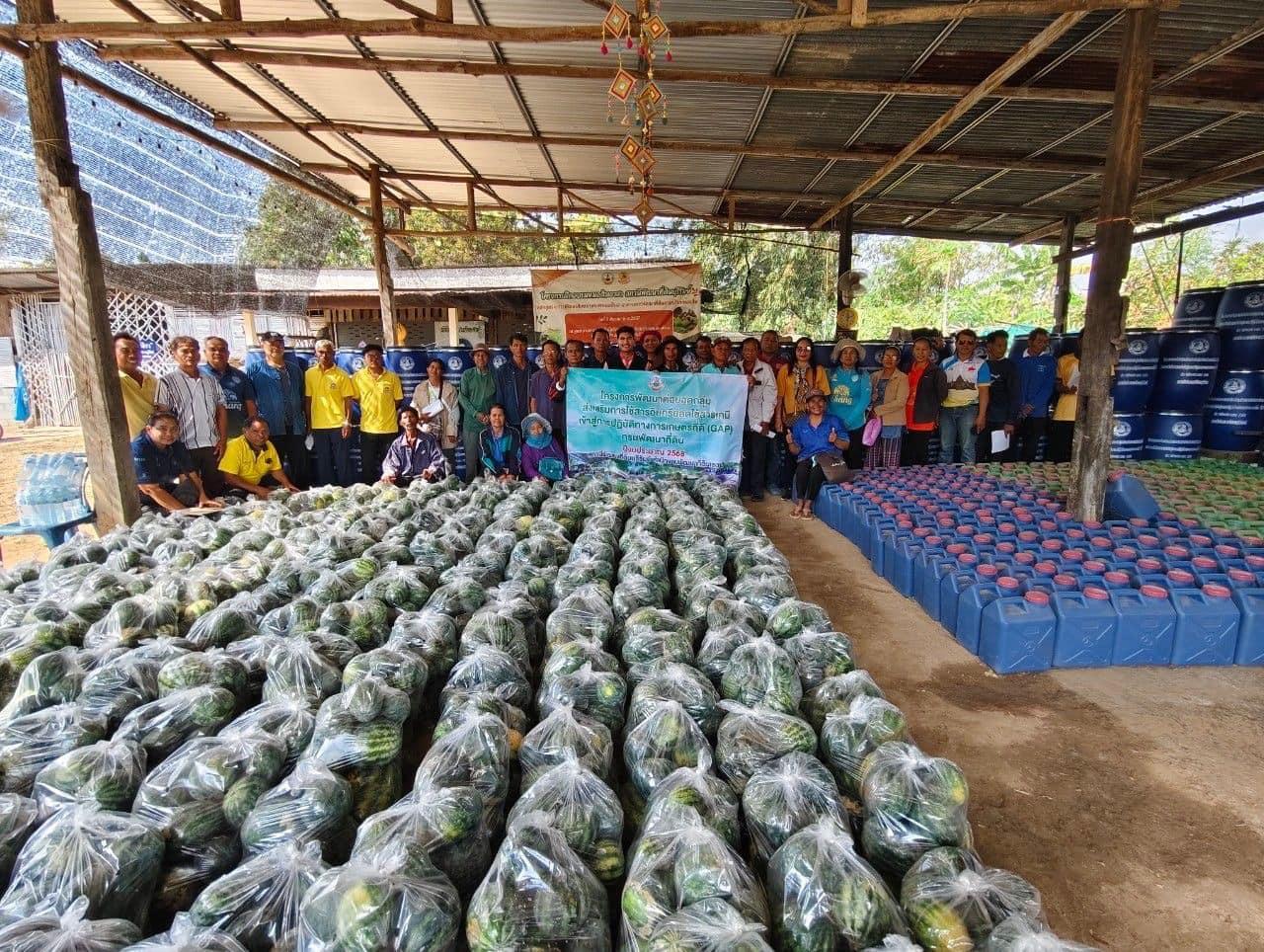 ภาพประกอบที่ 15