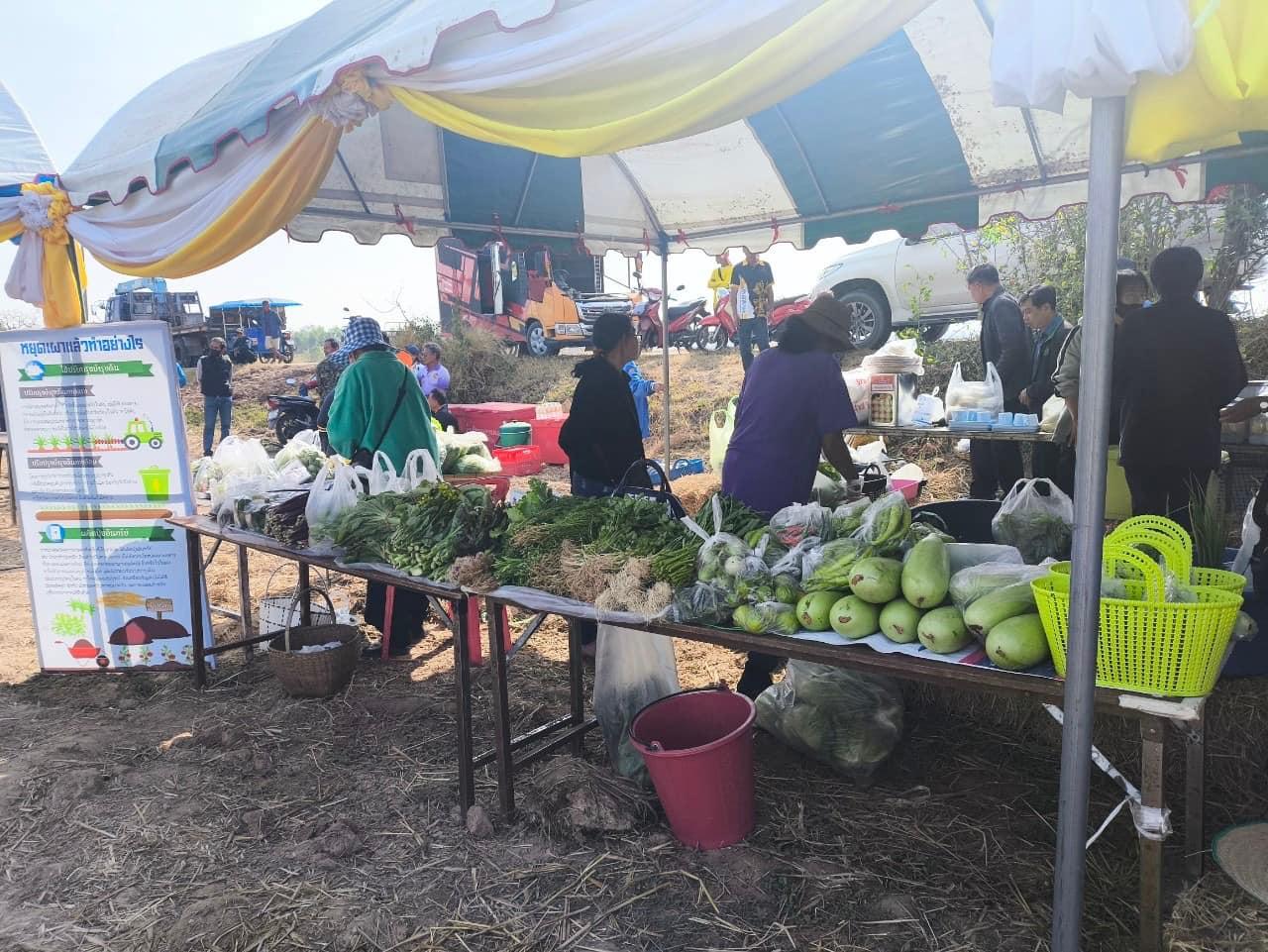 ภาพประกอบที่ 10