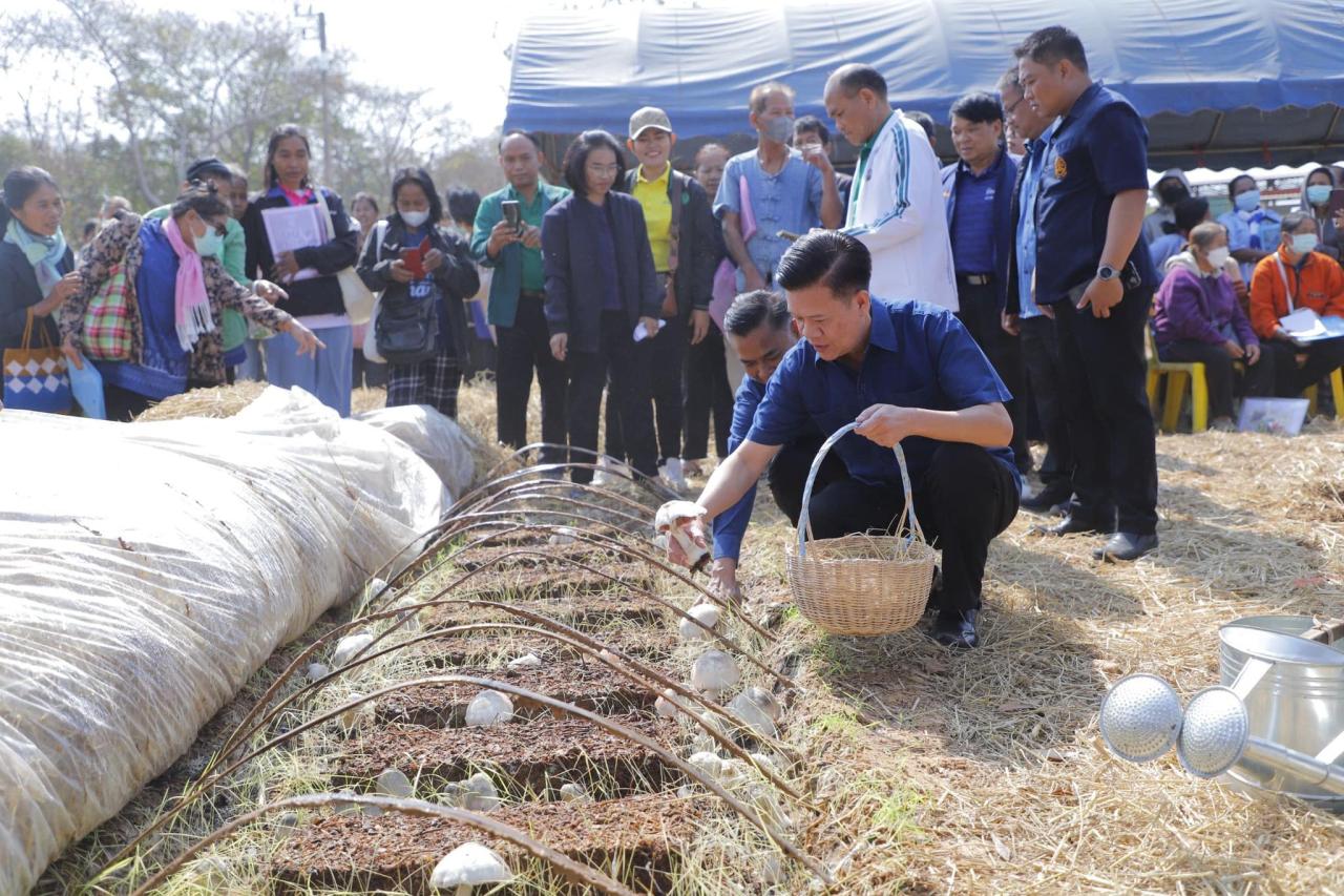 ภาพประกอบที่ 12
