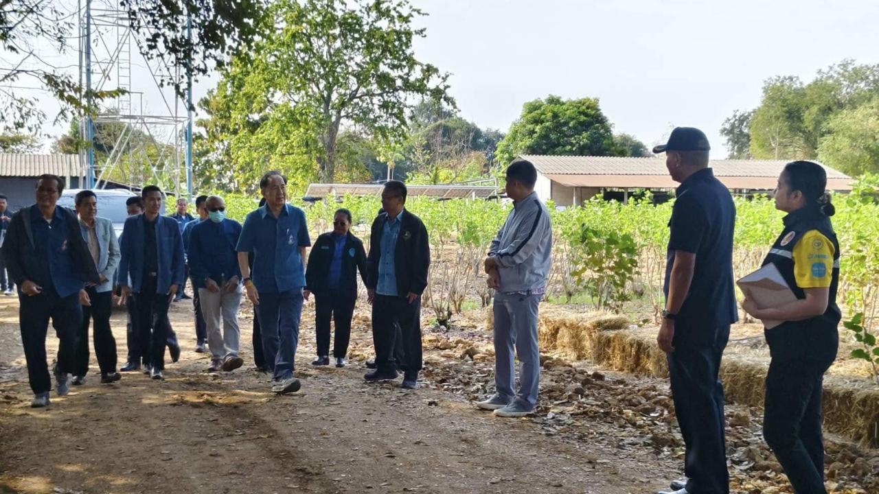 ภาพประกอบที่ 8