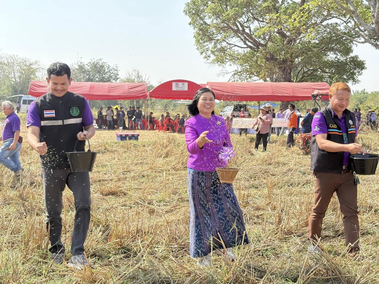 ภาพประกอบที่ 42