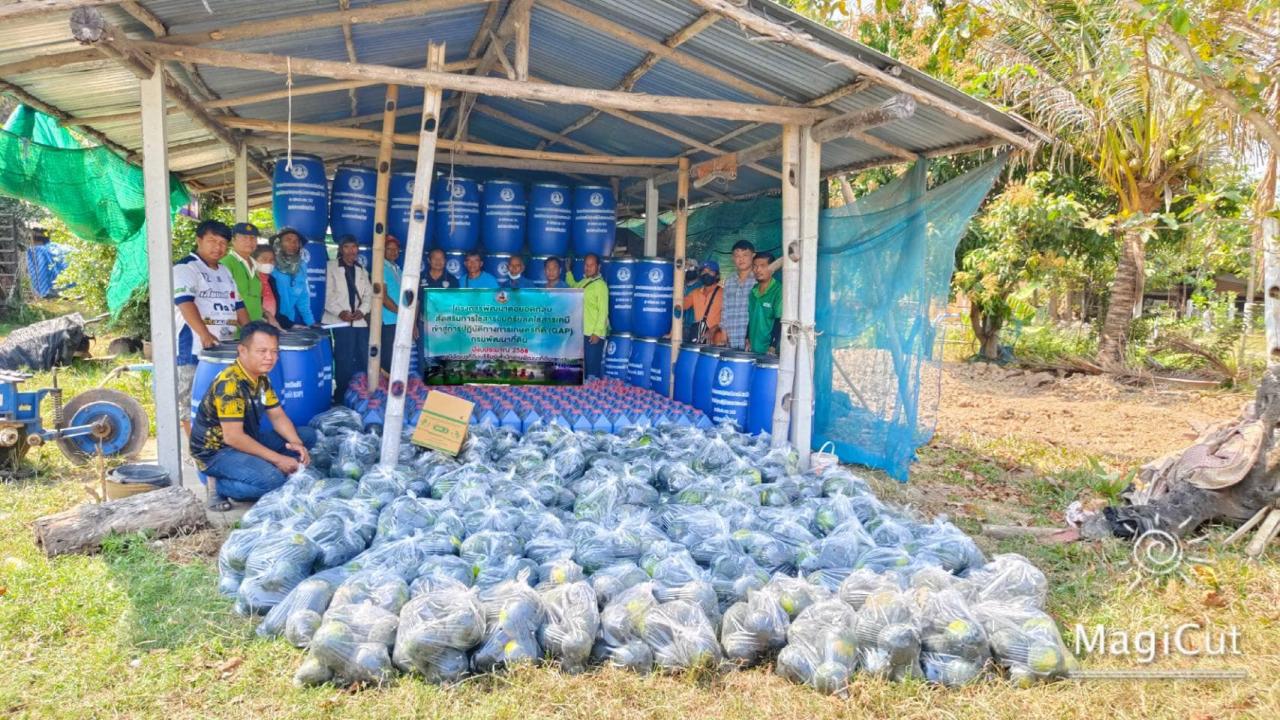 ภาพประกอบที่ 0