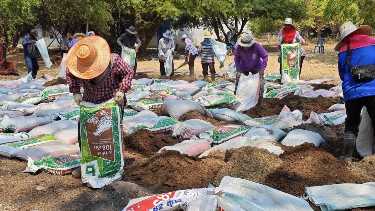ภาพประกอบที่ 1