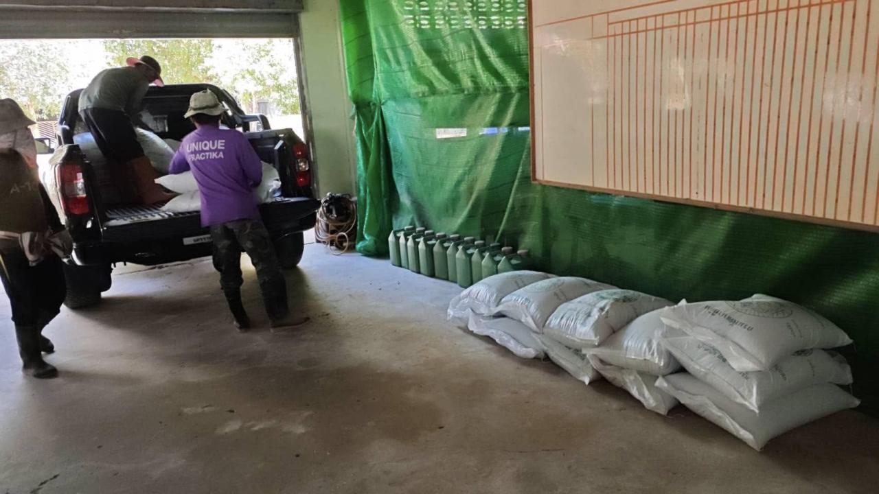 ภาพประกอบที่ 3