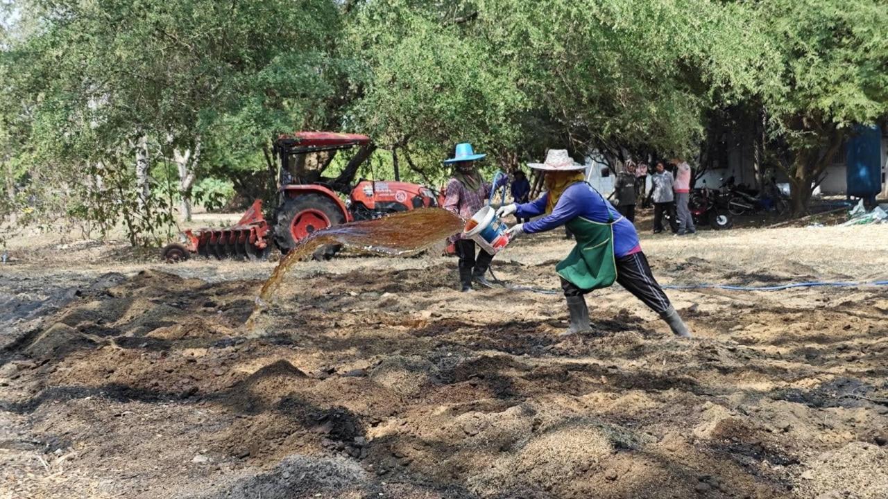 ภาพประกอบที่ 10