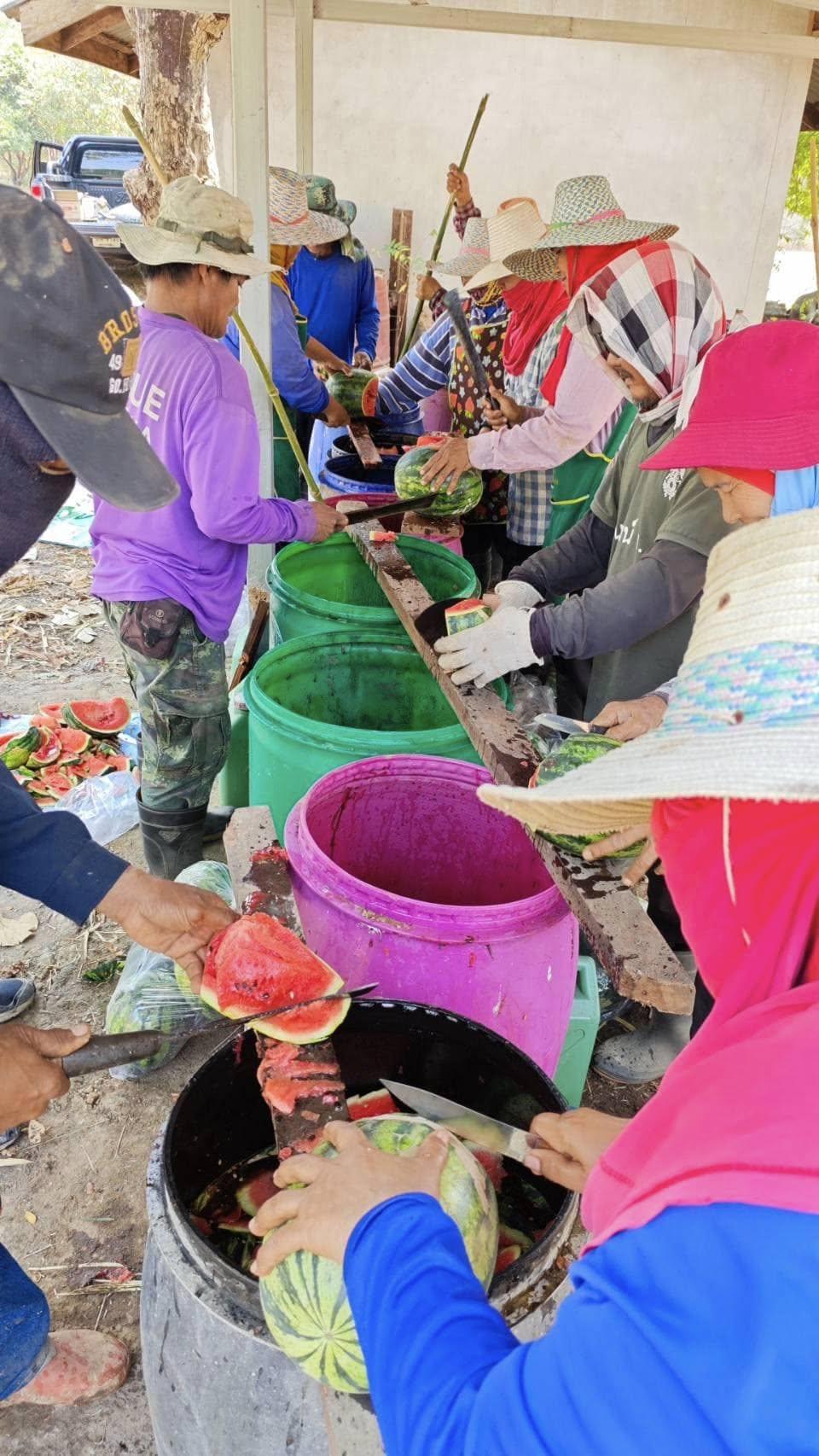 ภาพประกอบที่ 12