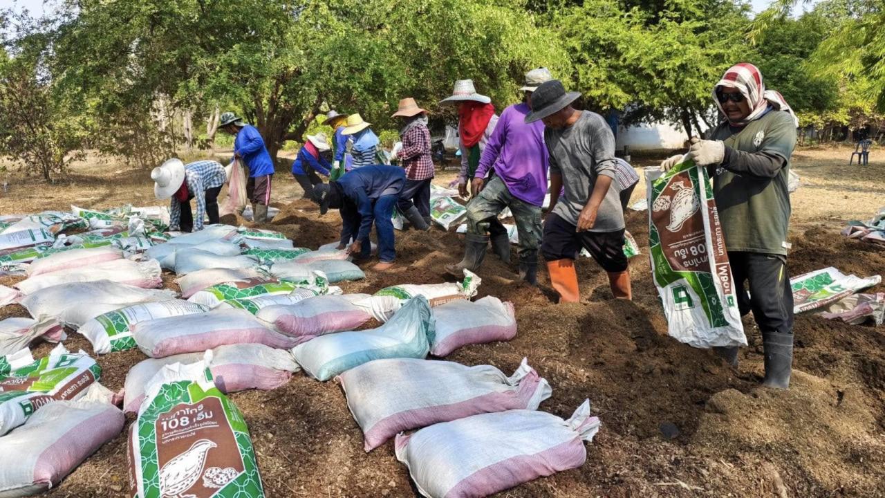 ภาพประกอบที่ 14