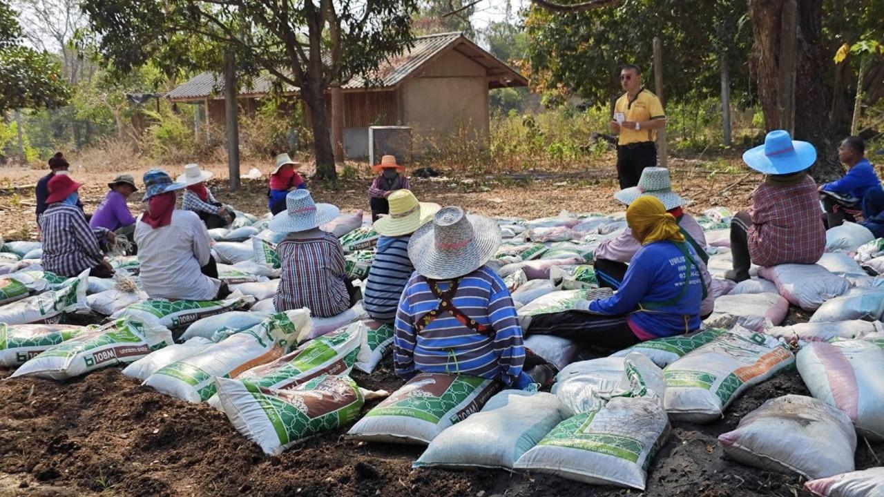 ภาพประกอบที่ 16