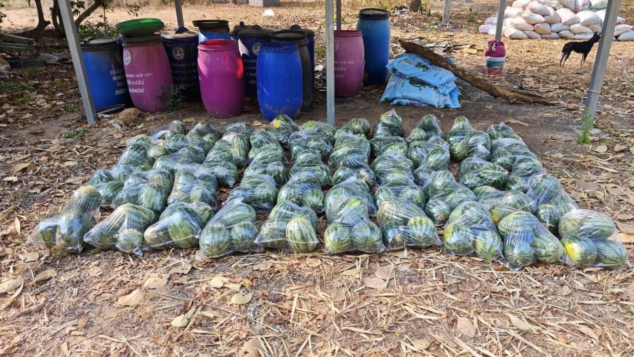 ภาพประกอบที่ 17