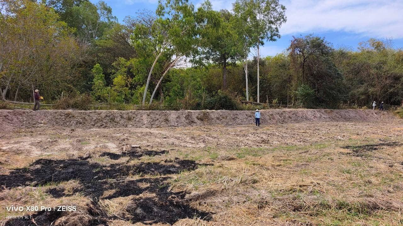 ภาพประกอบที่ 0