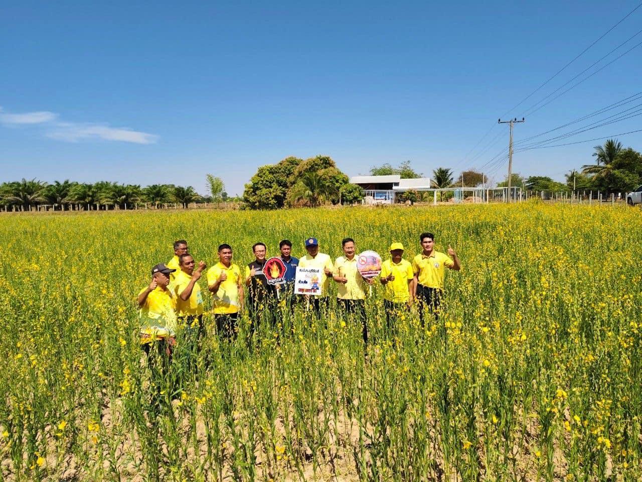 ภาพประกอบที่ 0