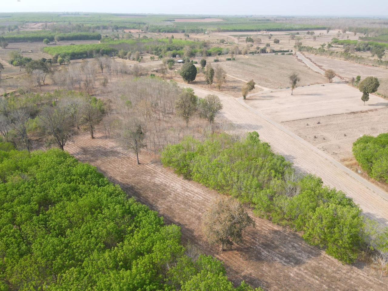 ภาพประกอบที่ 32