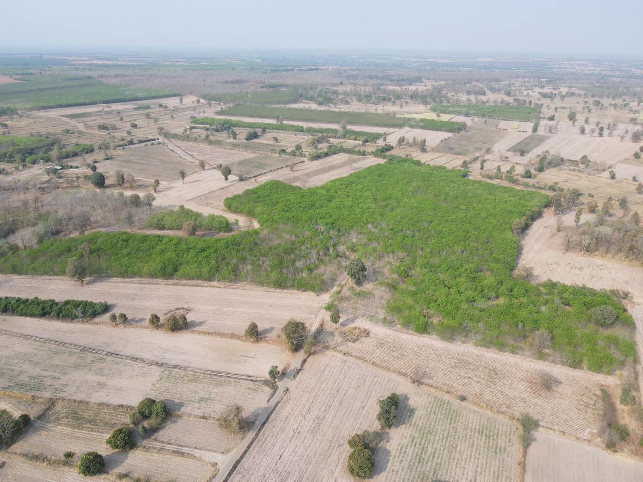 ภาพประกอบที่ 34