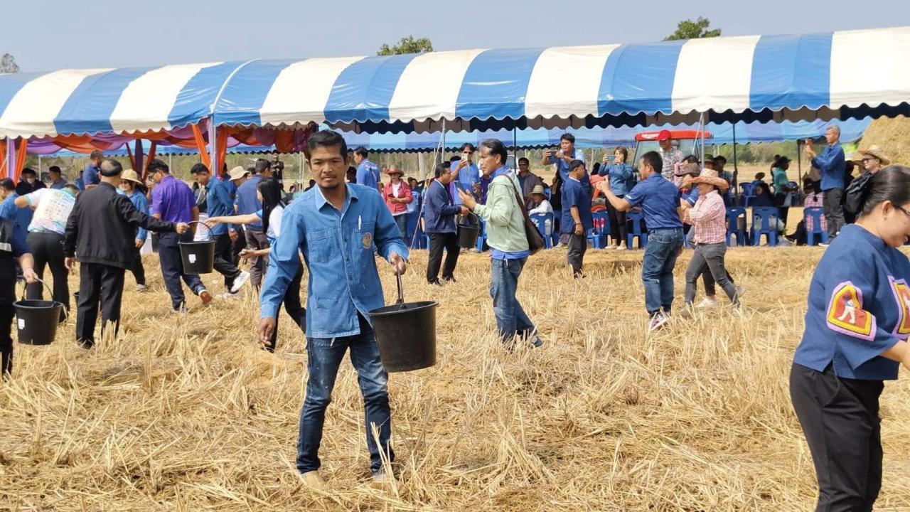 ภาพประกอบที่ 7