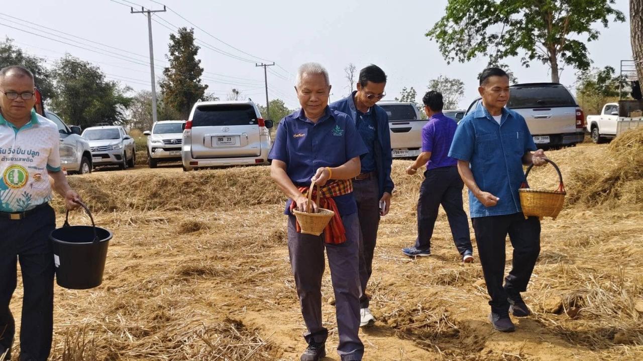 ภาพประกอบที่ 8