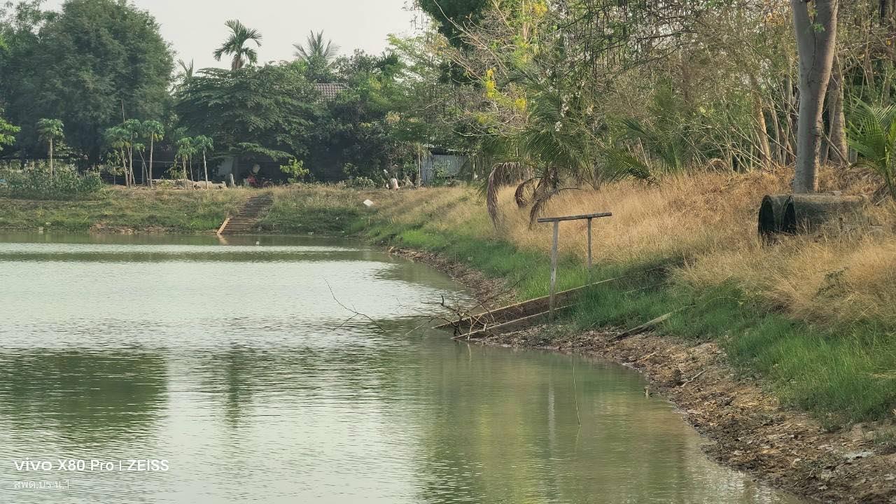 ภาพประกอบที่ 12