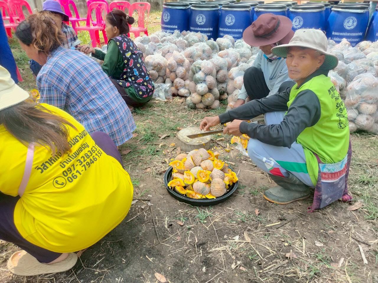 ภาพประกอบที่ 8