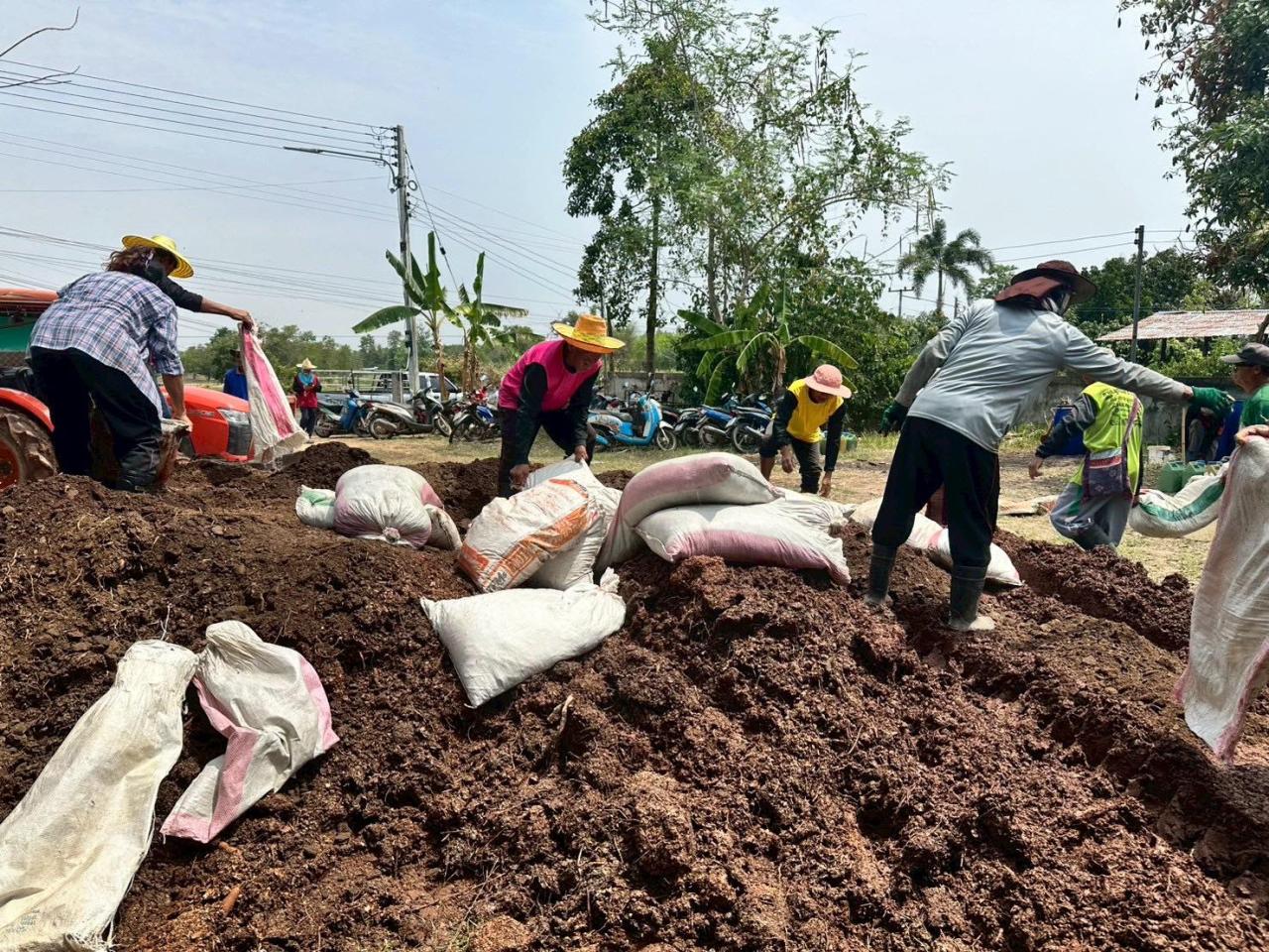 ภาพประกอบที่ 11