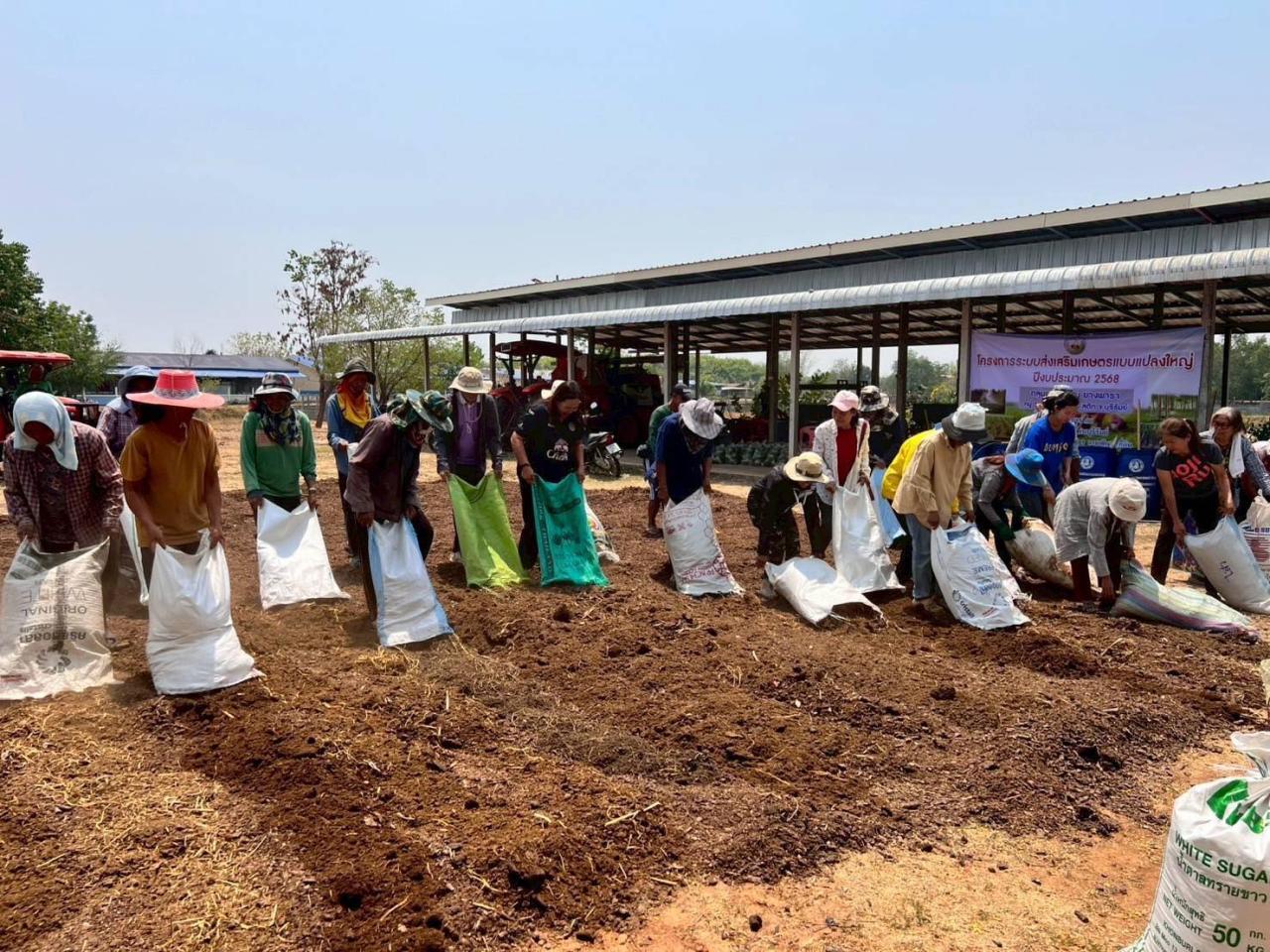 ภาพประกอบที่ 5