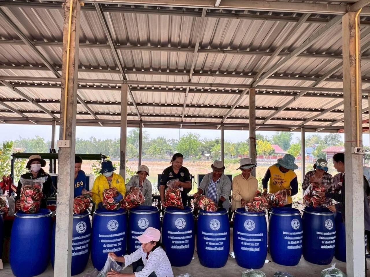 ภาพประกอบที่ 6