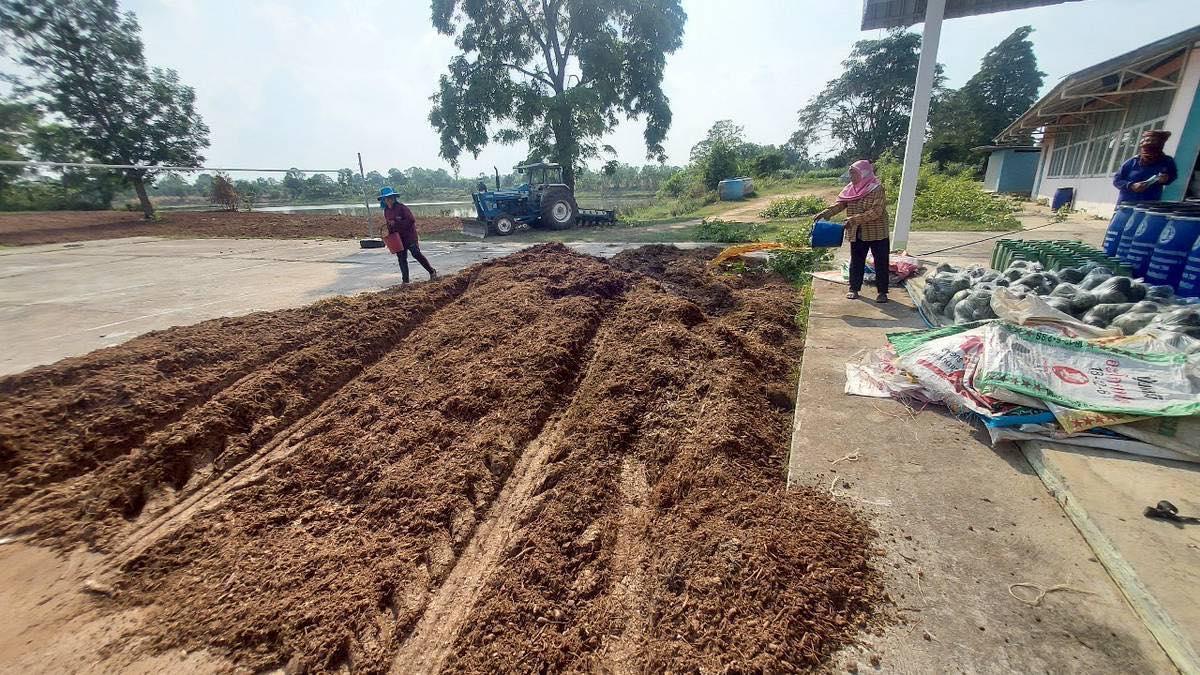 ภาพประกอบที่ 10