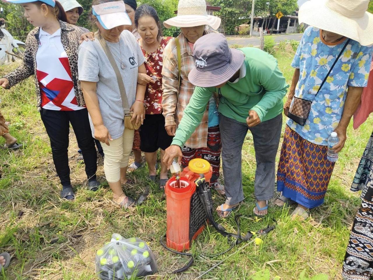ภาพประกอบที่ 7