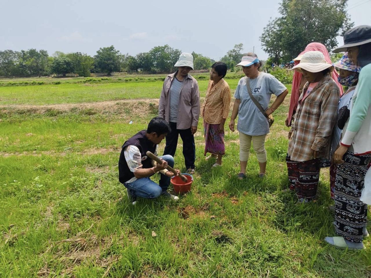 ภาพประกอบที่ 11