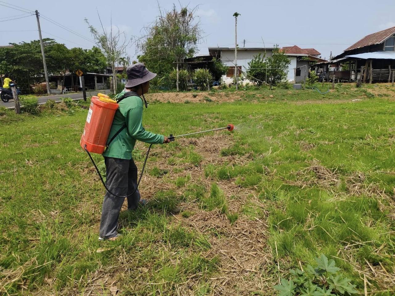ภาพประกอบที่ 16