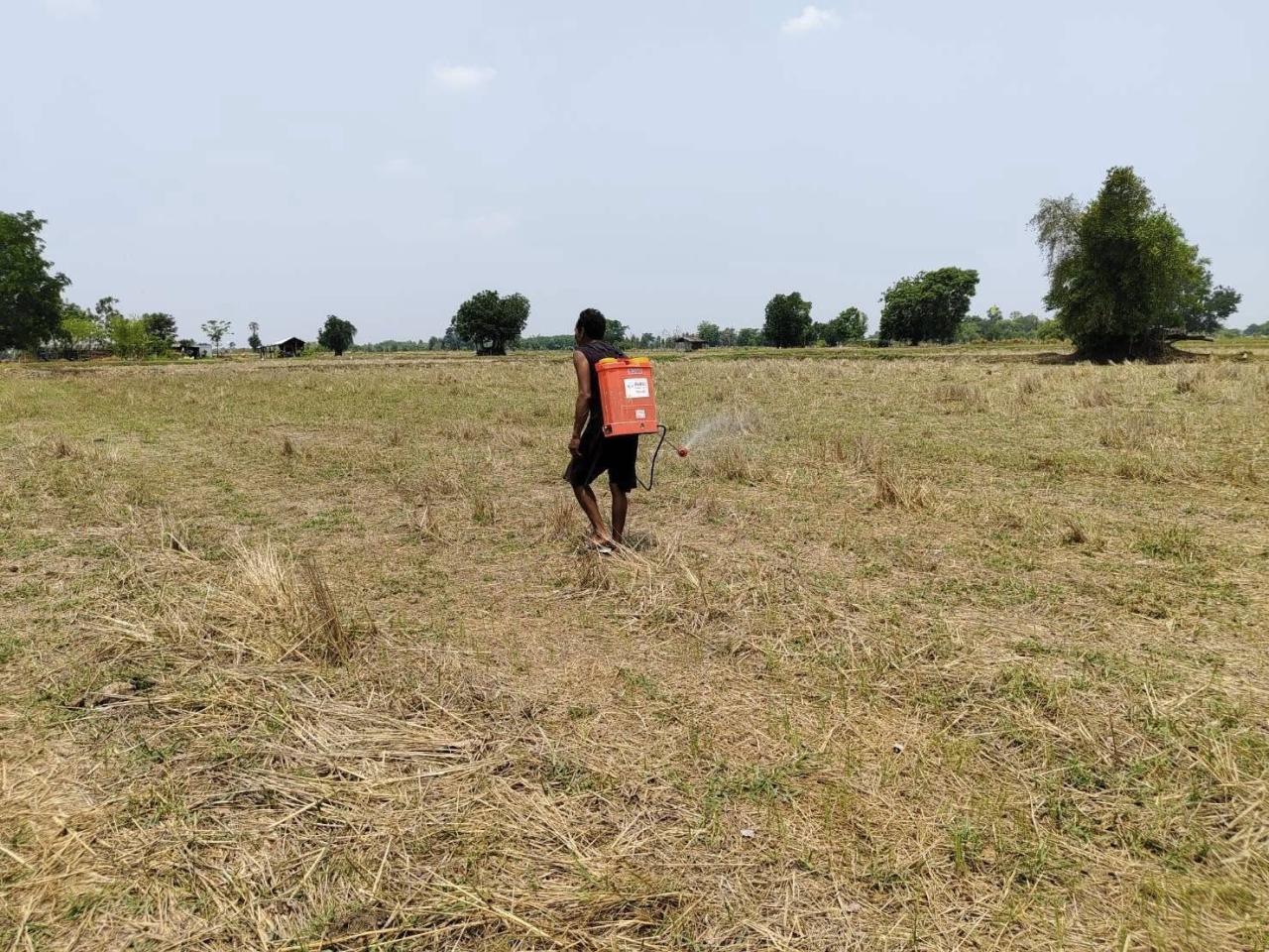 ภาพประกอบที่ 10