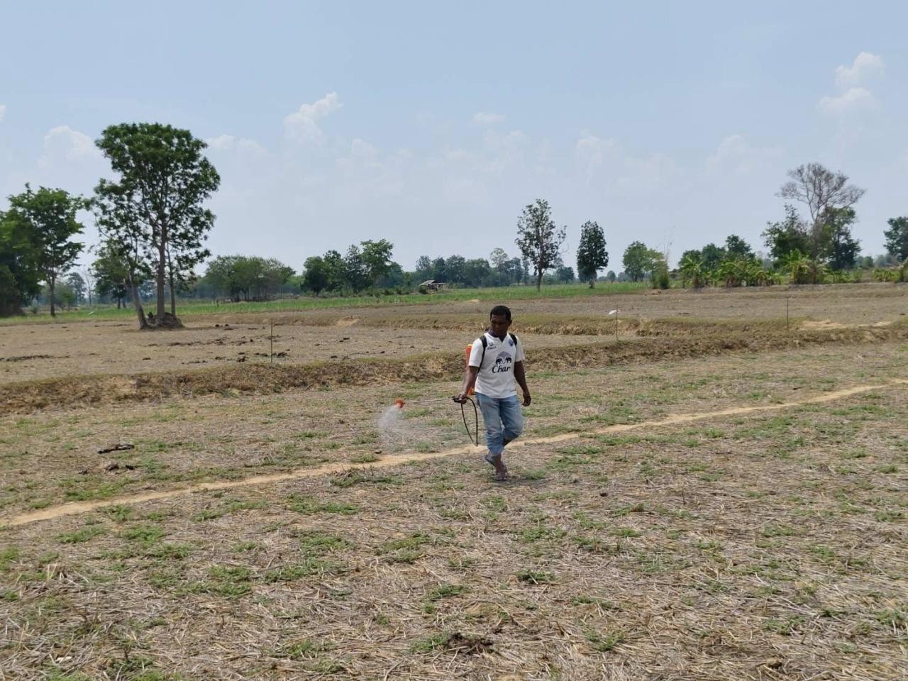 ภาพประกอบที่ 0