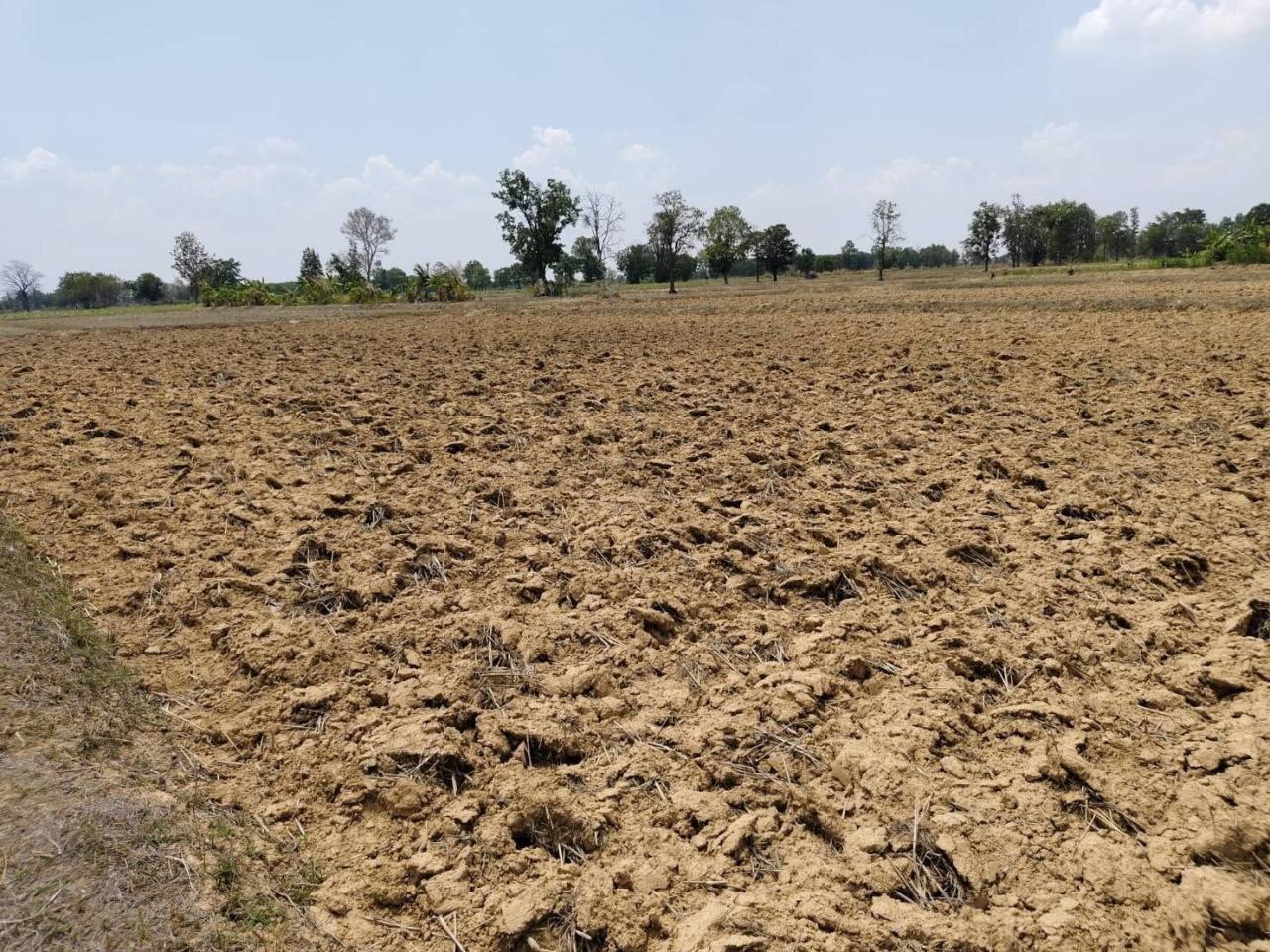 ภาพประกอบที่ 9