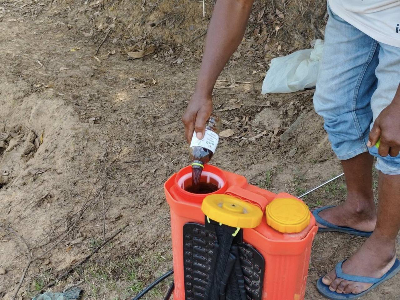 ภาพประกอบที่ 13