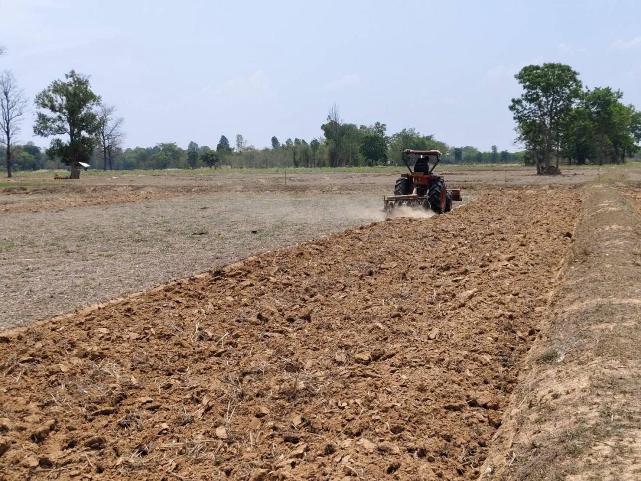 ภาพประกอบที่ 14