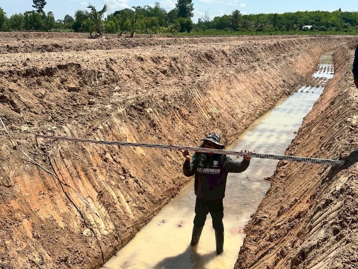 ภาพประกอบที่ 11