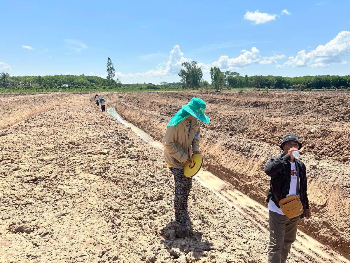 ภาพประกอบที่ 13