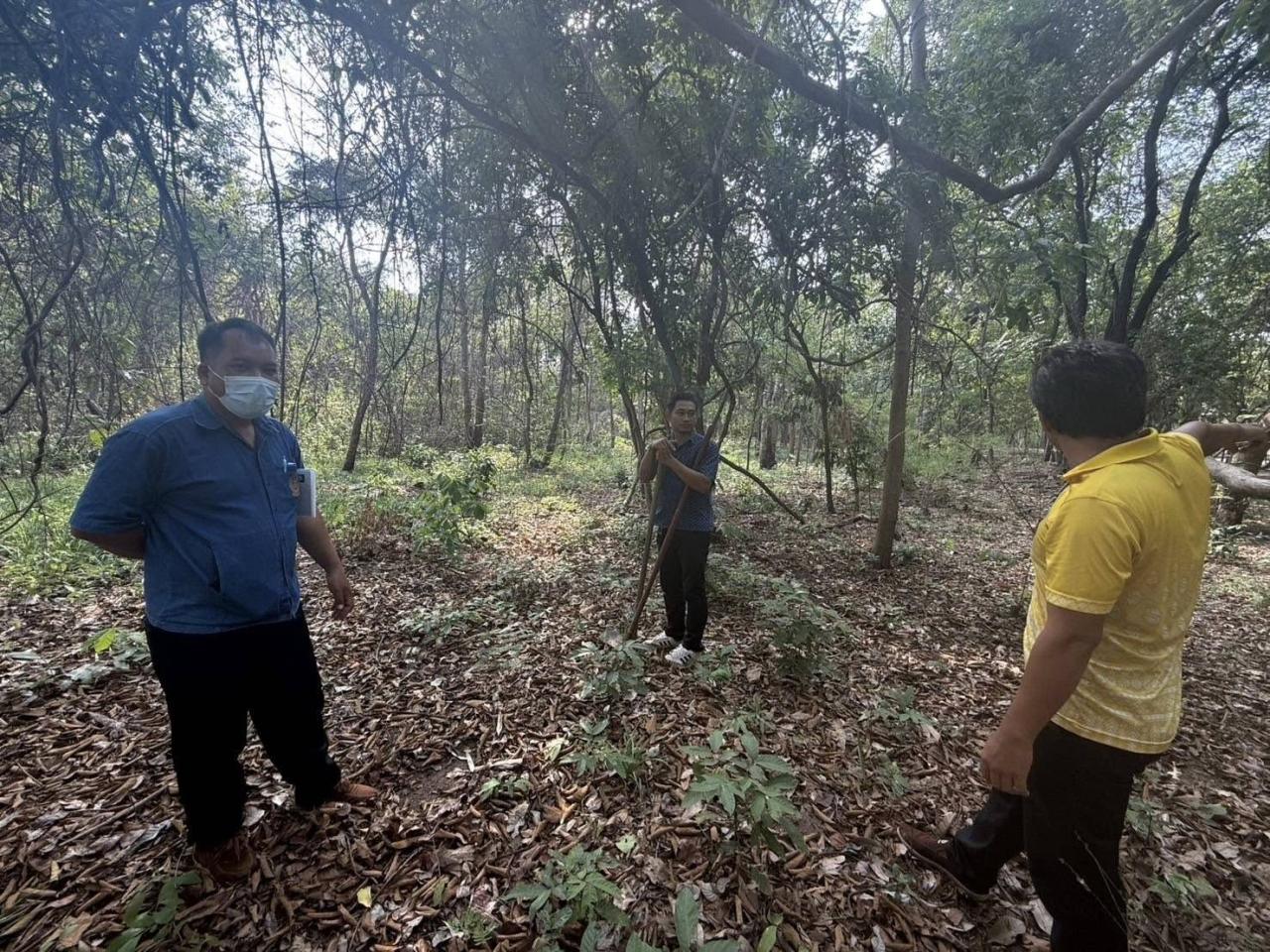 ภาพประกอบที่ 2