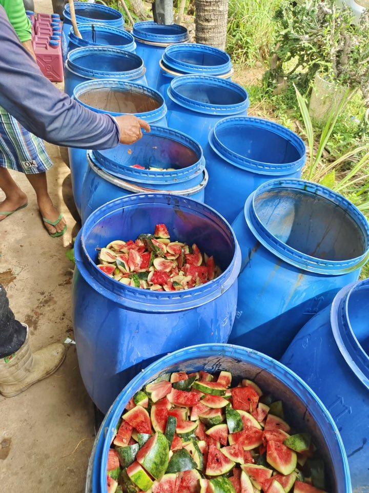 ภาพประกอบที่ 12