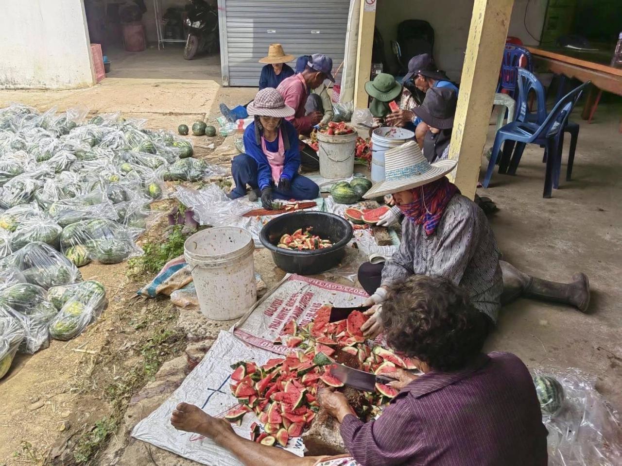 ภาพประกอบที่ 13